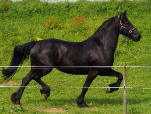 DSC07836