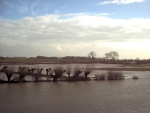 veel-regen-en-kwel